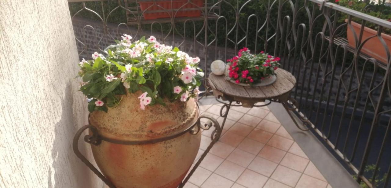 B&B La Giara Nicolosi Kültér fotó